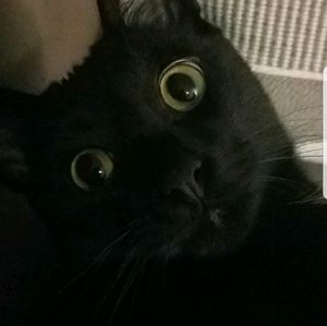 Meet your Posher, Katy